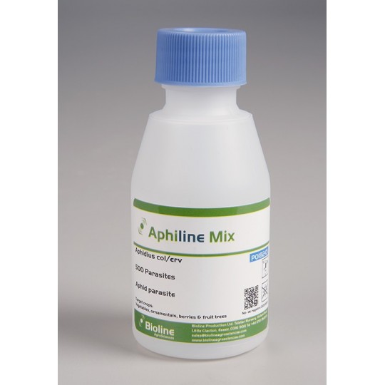 Mix Aphidius colemani +...