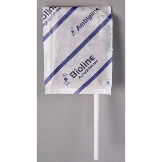 Sachets sur Stick Amblyline